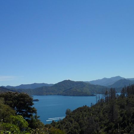 Sequoia Lodge Backpackers Picton Exteriér fotografie