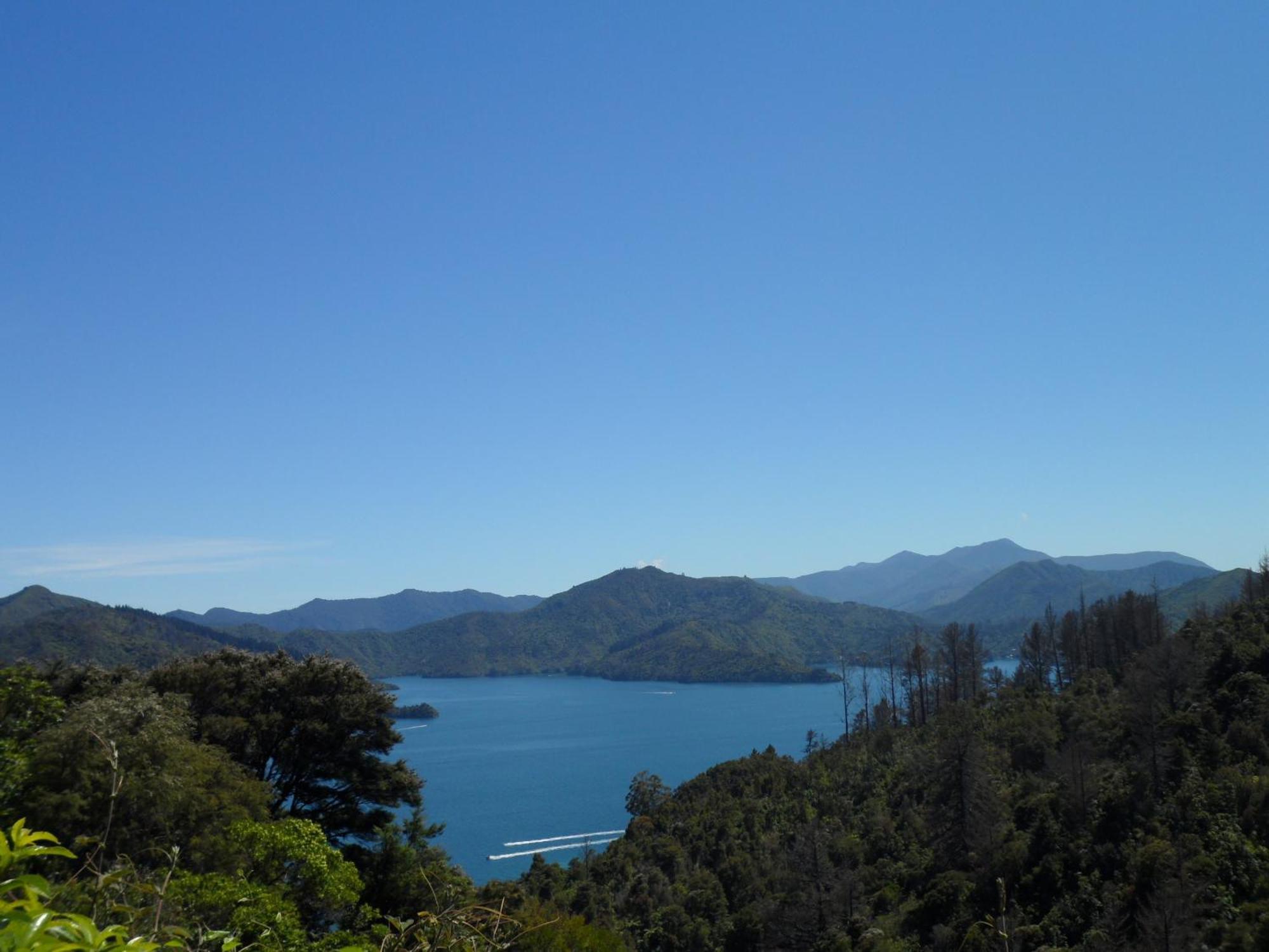 Sequoia Lodge Backpackers Picton Exteriér fotografie